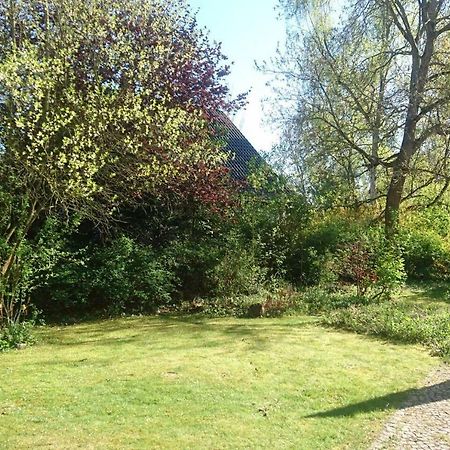 Sonniges Haeuschen Mit Garten Brunszwik Zewnętrze zdjęcie